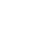 Dipartimento di Studi Linguistici e Letterari